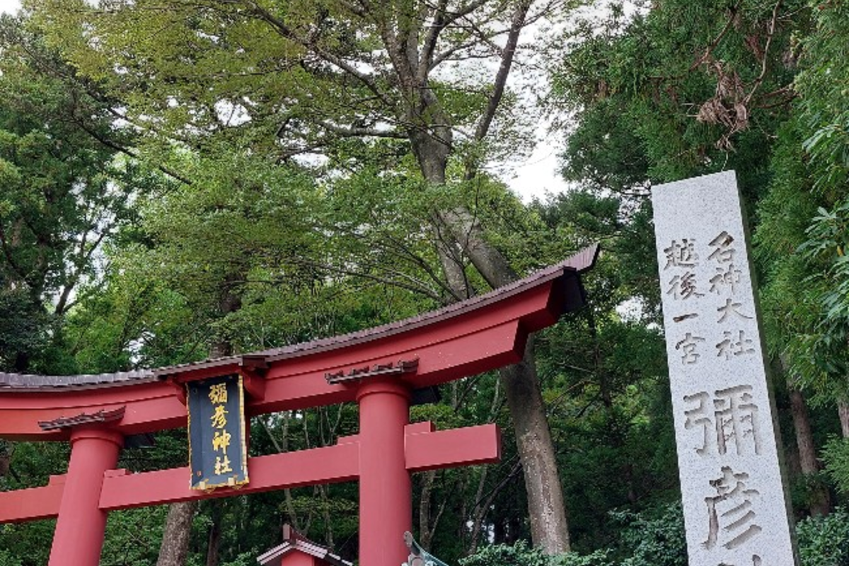 新潟県  彌彦神社　神様の赤い橋