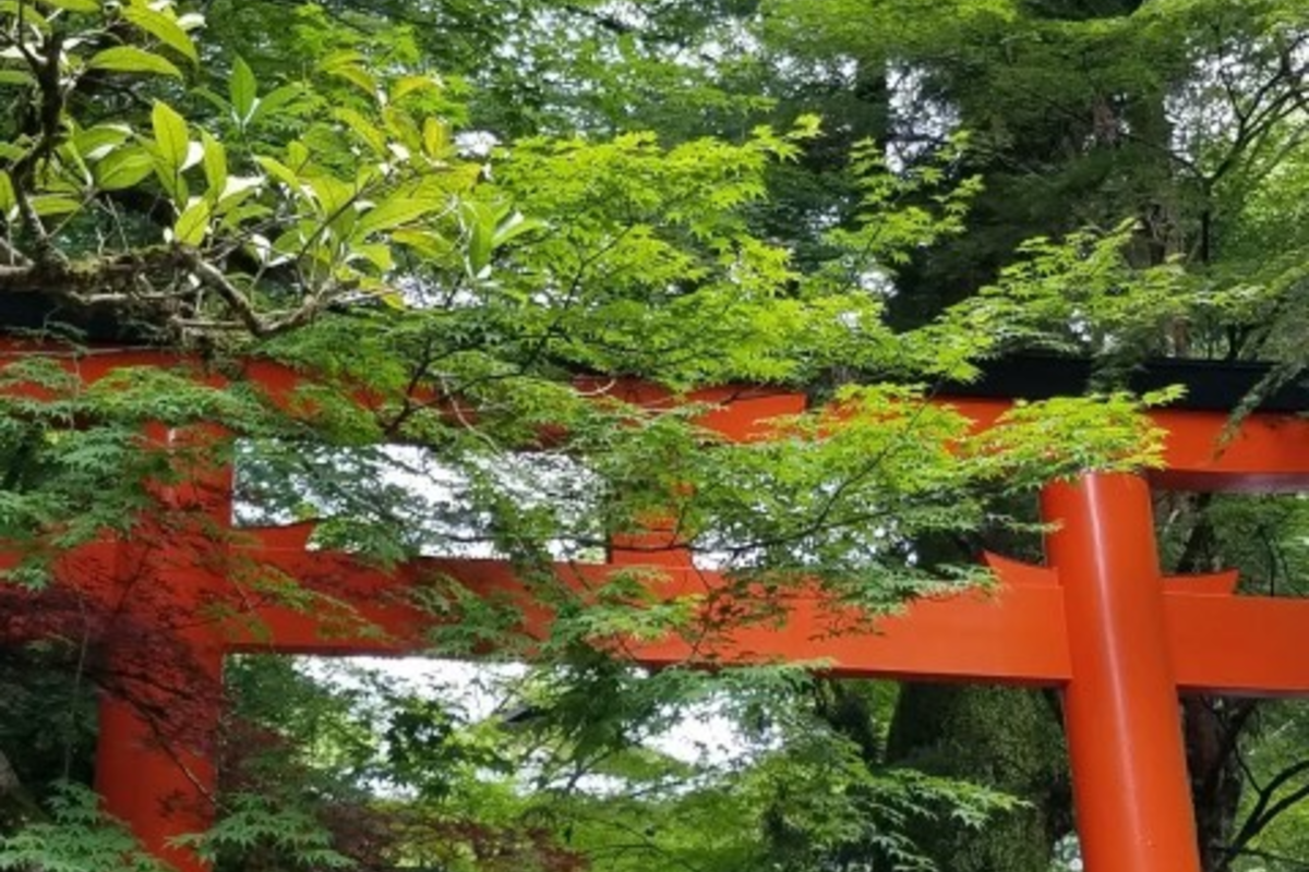 龍神パワーバグレベル神社