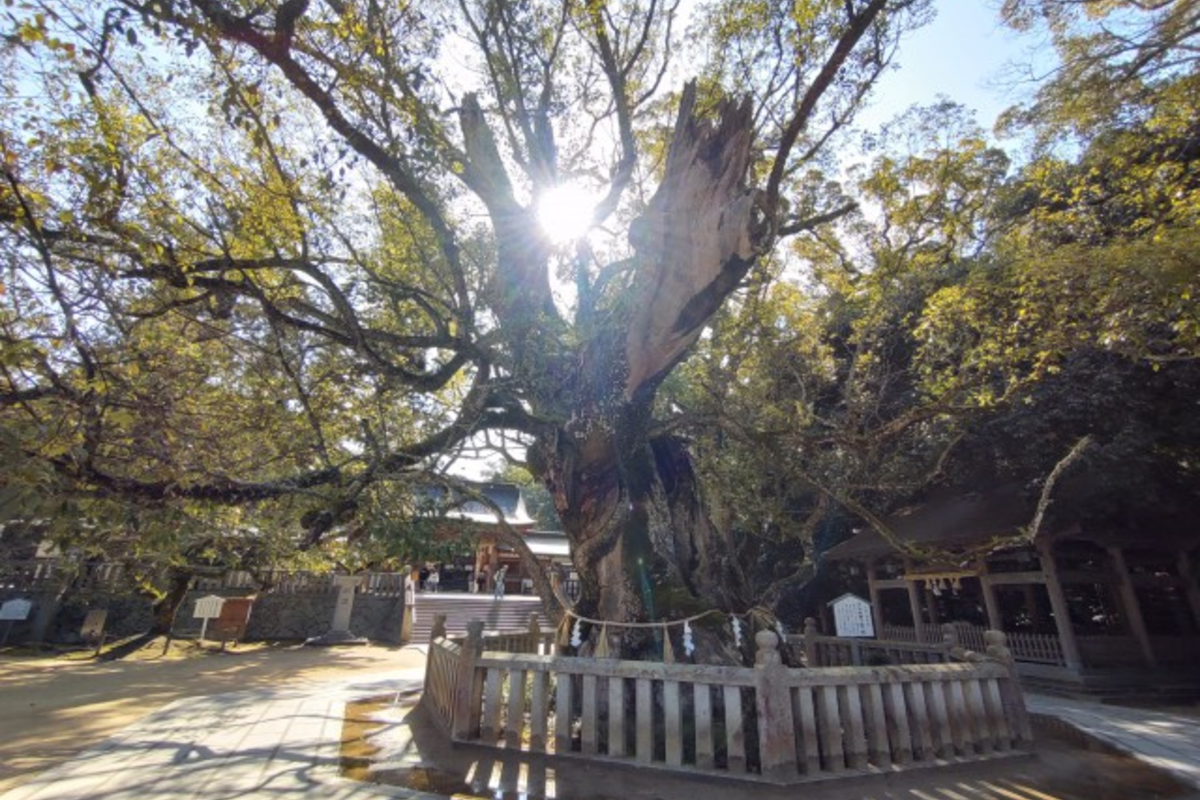 意外すぎる…神社の真実