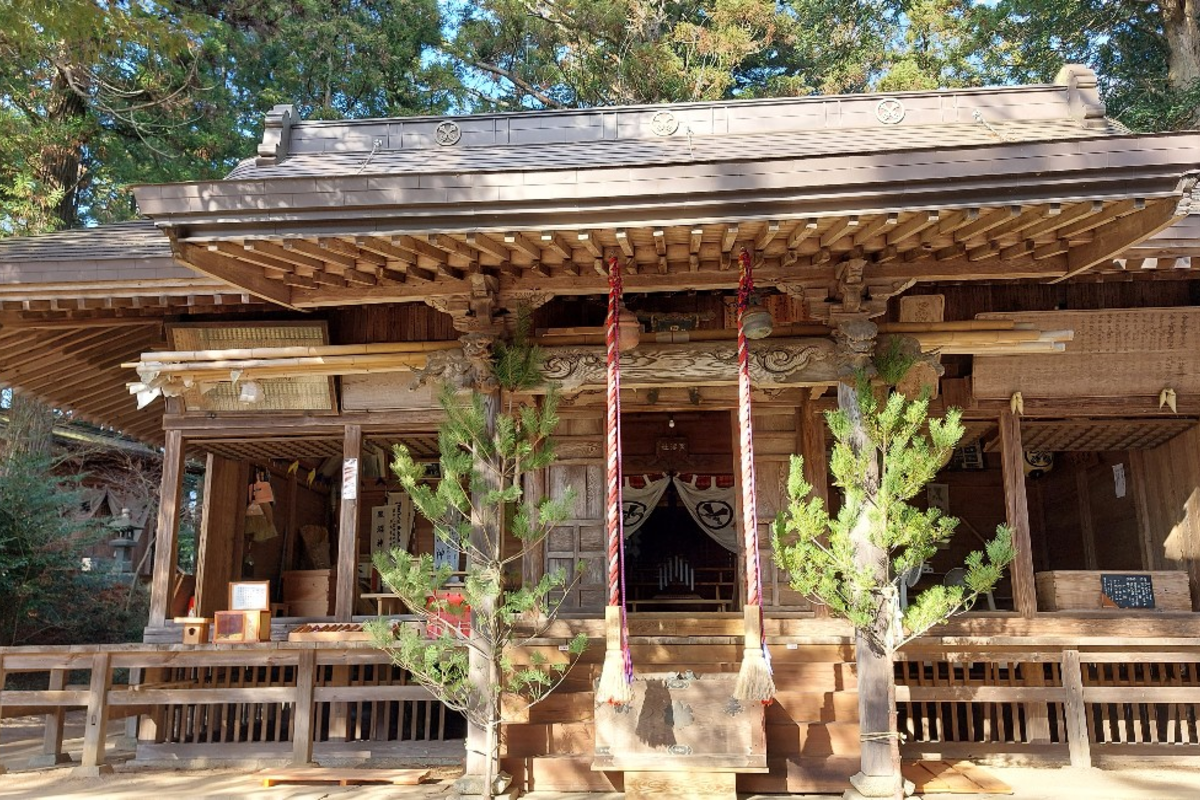 白麒麟が現れた！？黒沼神社見れたら幸せに